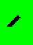 Animatory state 44