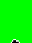Animatory state 47