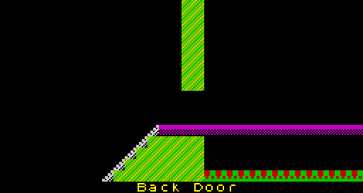 back_door