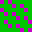 floor06